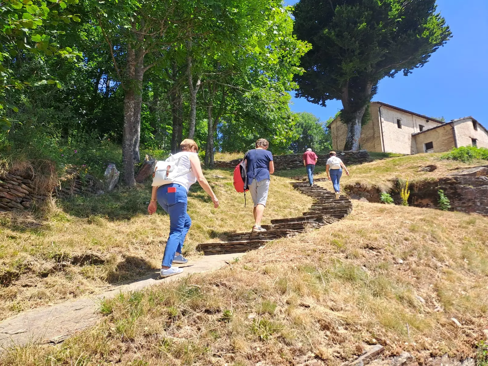 Consorzio Monviso Solidale